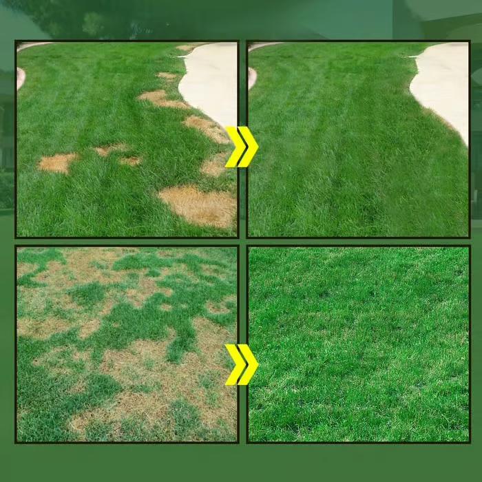 Easy Spray-On Grass Seed & Fertilizer Solution - Instantly Restore Thicker, Greener Lawns in Days (Includes Sprayer & Formula（副本）