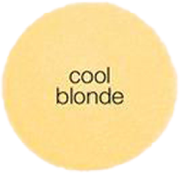 Touch & Go Hair Concealer